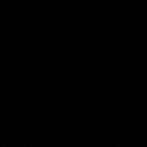 Meet your Posher, Brody